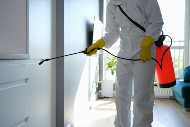 Best Emergency Mold Removal  in Bertsch Oceanview, CA