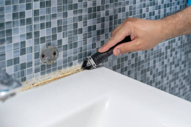 Best Black Mold Removal  in Bertsch Oceanview, CA