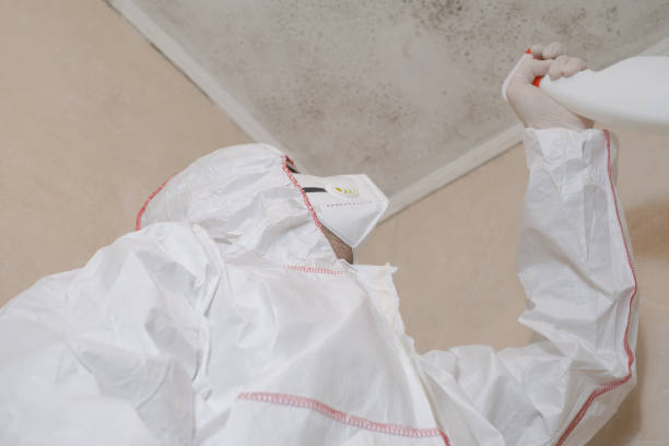 Certified Mold Removal in Bertsch Oceanview, CA