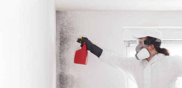 Best Mold Testing  in Bertsch Oceanview, CA