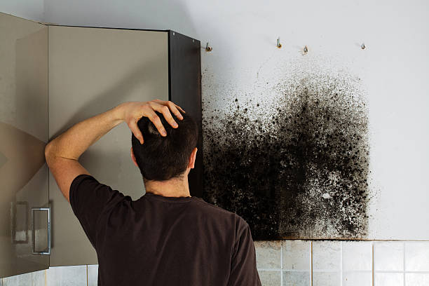 Best Residential Mold Removal  in Bertsch Oceanview, CA